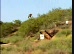 saut &agrave; skate